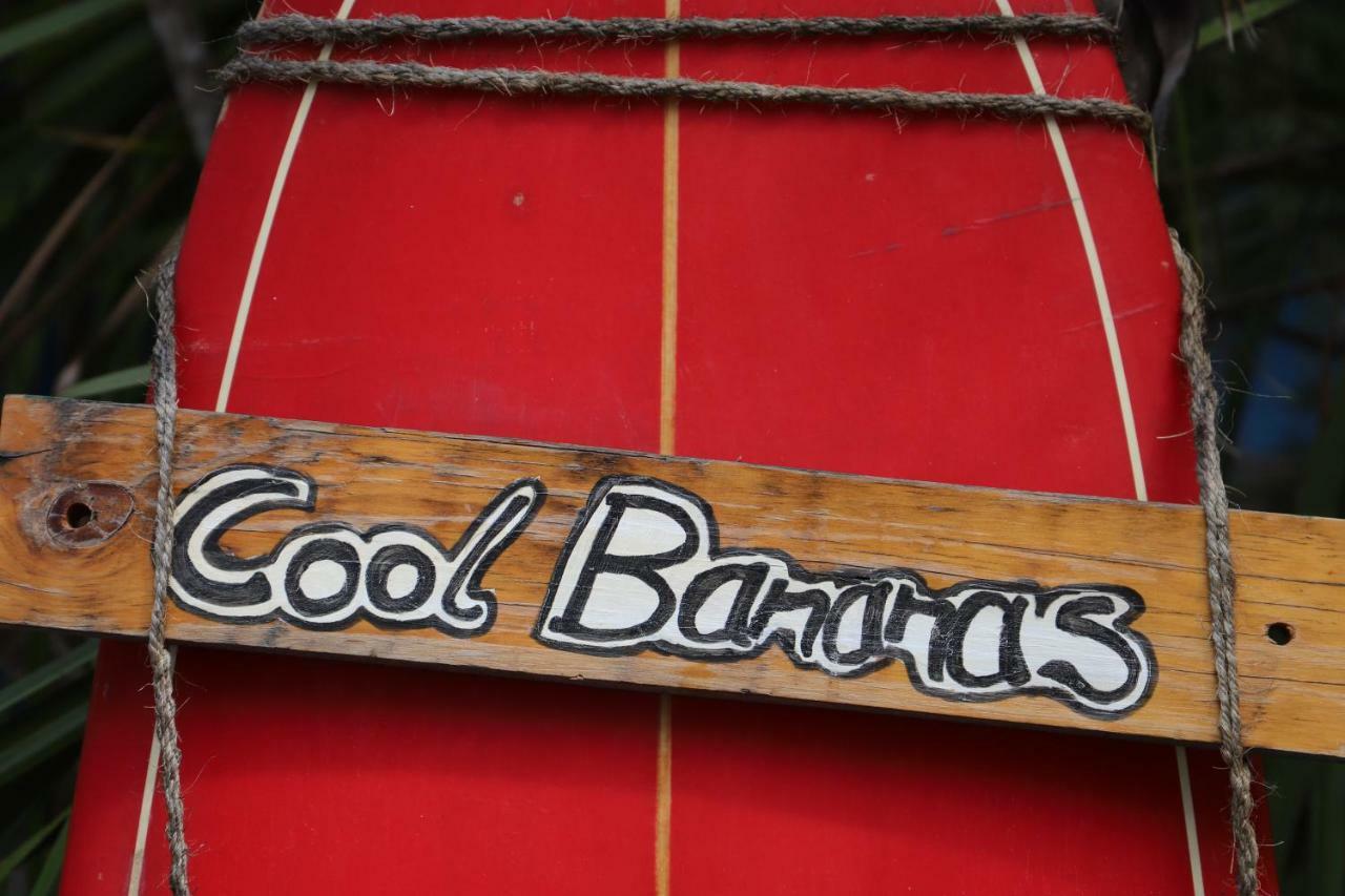 Albergue Cool Bananas Backpackers Agnes Water Exterior foto