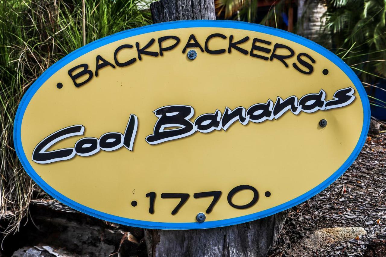 Albergue Cool Bananas Backpackers Agnes Water Exterior foto