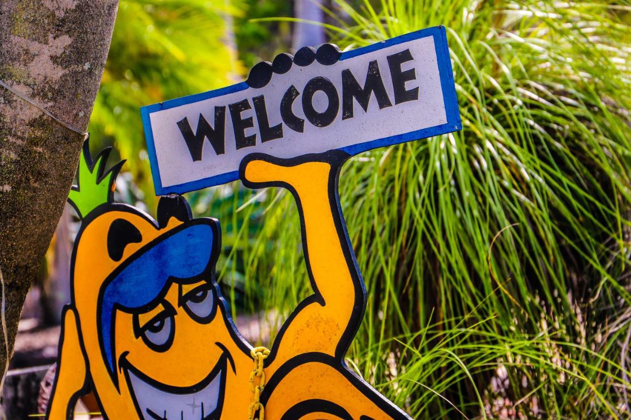Albergue Cool Bananas Backpackers Agnes Water Exterior foto