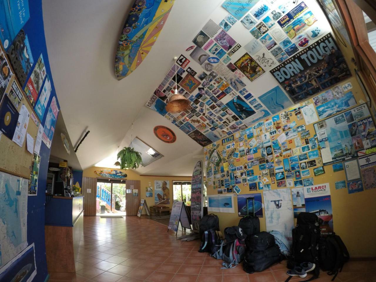 Albergue Cool Bananas Backpackers Agnes Water Exterior foto