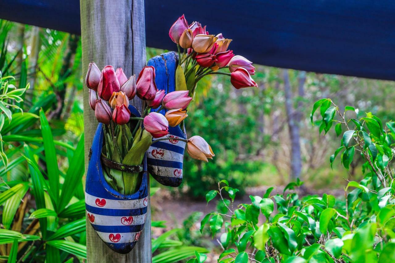 Albergue Cool Bananas Backpackers Agnes Water Exterior foto