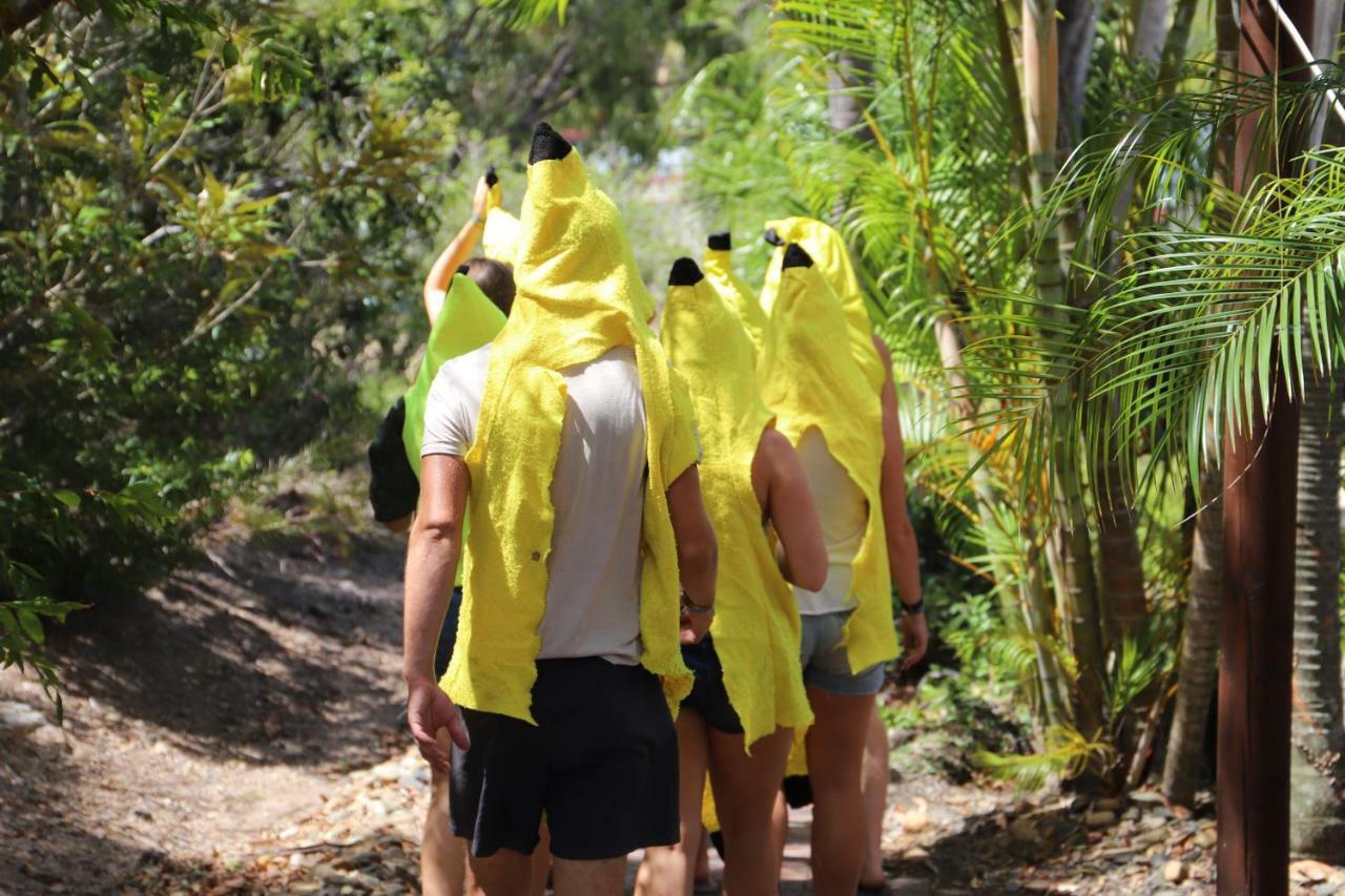 Albergue Cool Bananas Backpackers Agnes Water Exterior foto