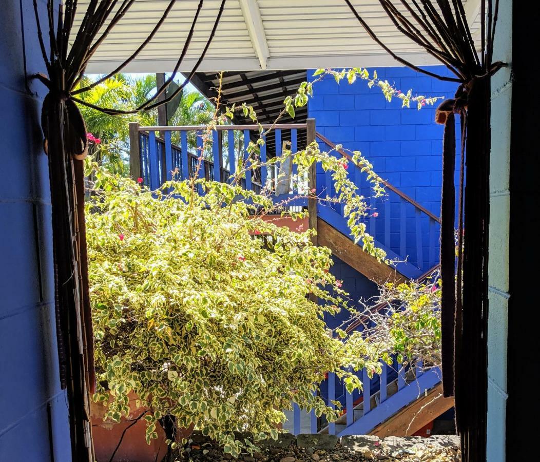 Albergue Cool Bananas Backpackers Agnes Water Exterior foto